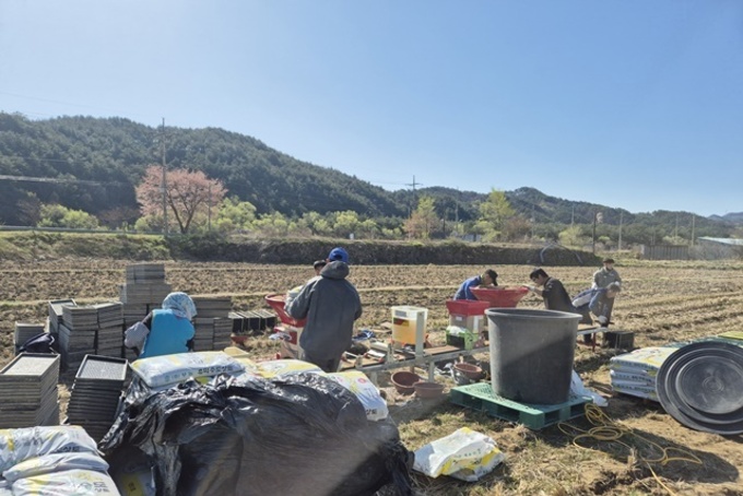 울진군, 기후변화 대응 ‘못자리 10일 늦추기’ 추진