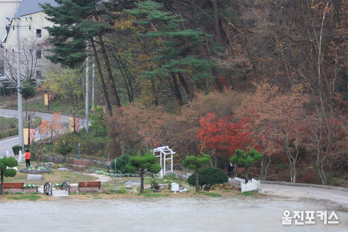 사진=국제일보