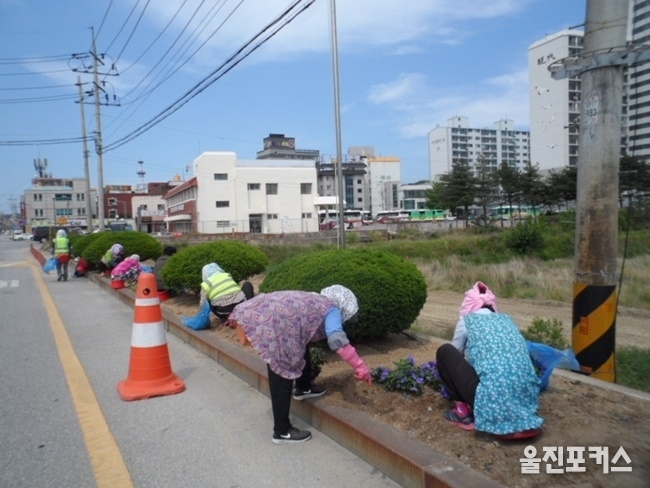 울진군(군수 전찬걸)은 일자리창출 분야에 최우선 과제로 취약계층 주민들의 생계안정과 취업기회를 제공하기 위해 총 사업비 7억6,000만원으로 165명에게 공공일자리를 제공한다고 17일 밝혔다. (사진=울진군)