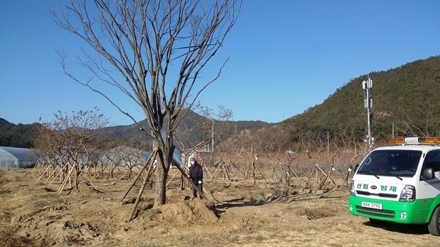사진=울진군