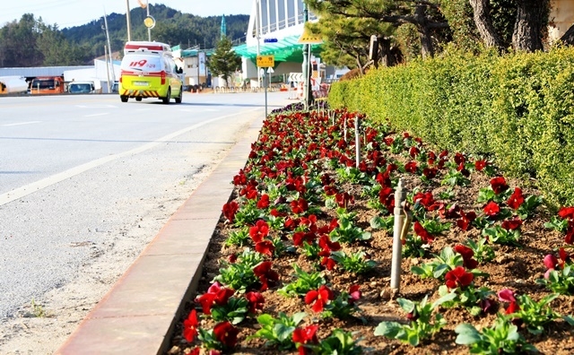 사진=울진군
