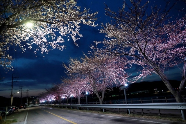 사진=울진군