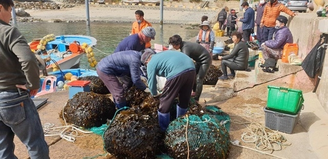 사진=울진군