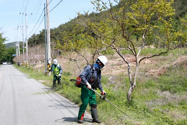 사진=울진군
