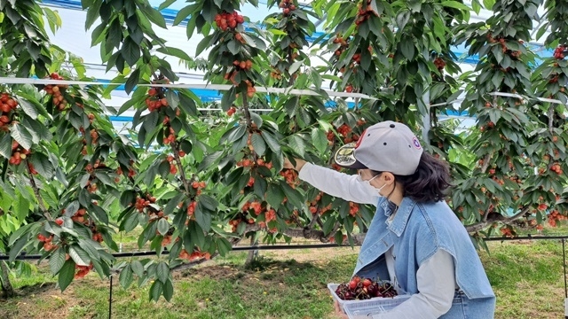 사진=울진군