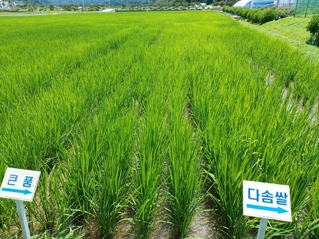 사진=울진군