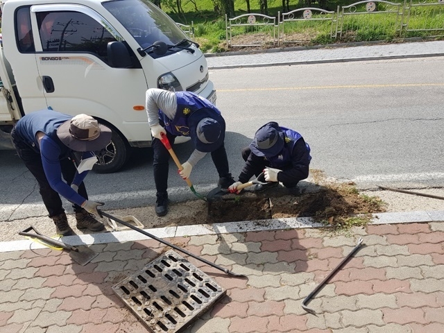 사진=울진군 온정면