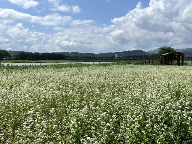 사진=울진군