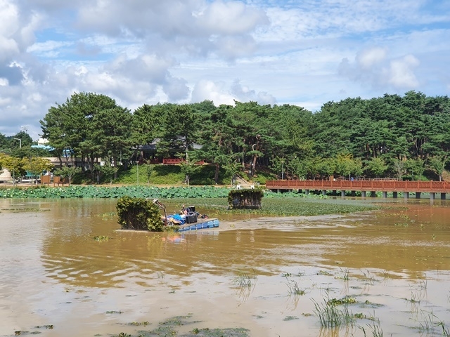 사진=울진군