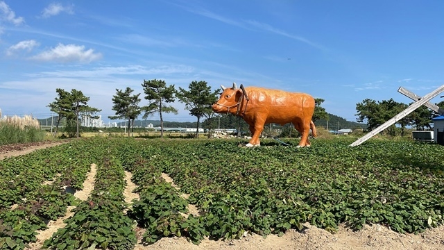 사진=울진군