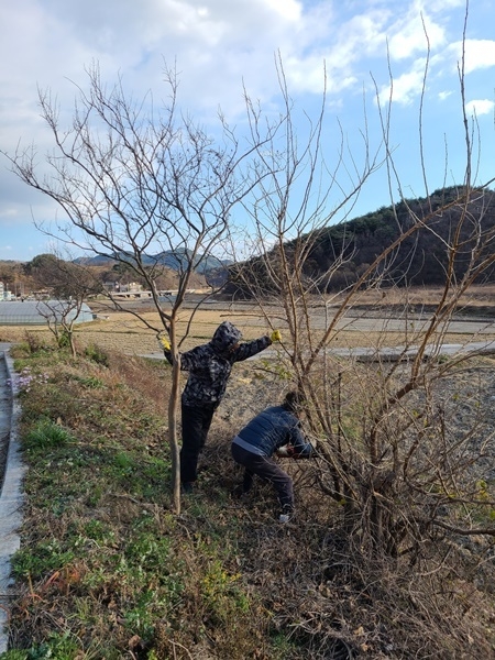 사진=울진군 온정면