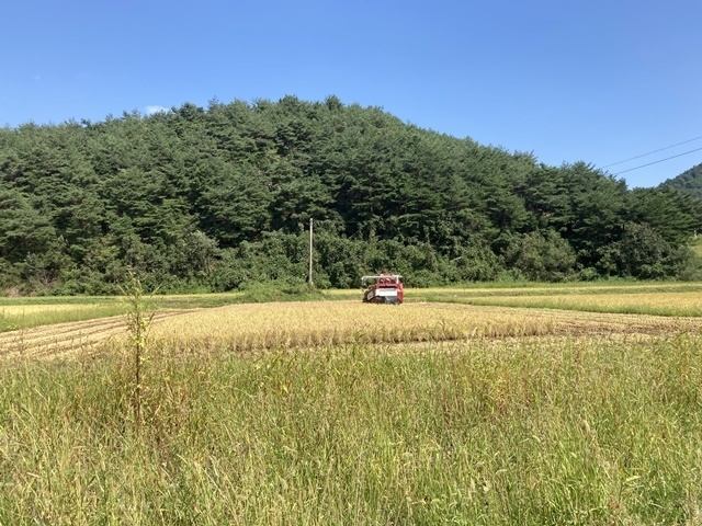 사진=울진군