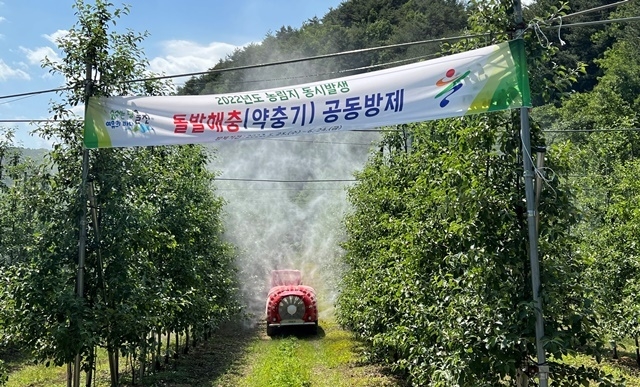 샂니=울진군