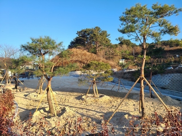 사진=울진군 울진읍