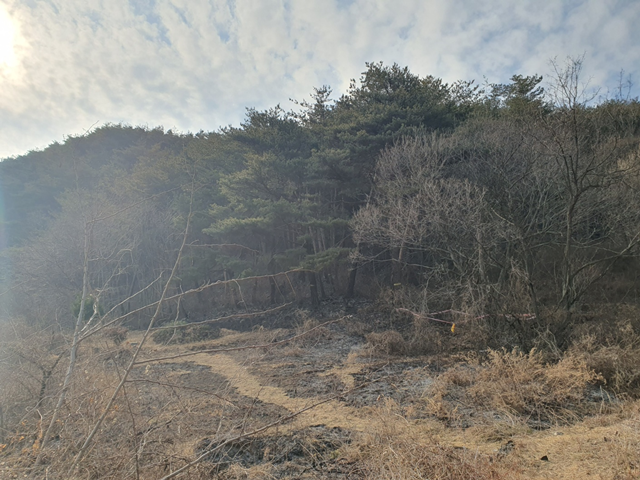사진=울진군