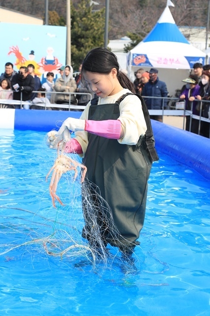 맨손잡기 체험. (사진=울진군)
