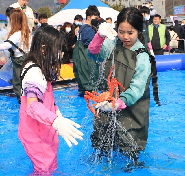 맨손잡기 체험. (사진=울진군)
