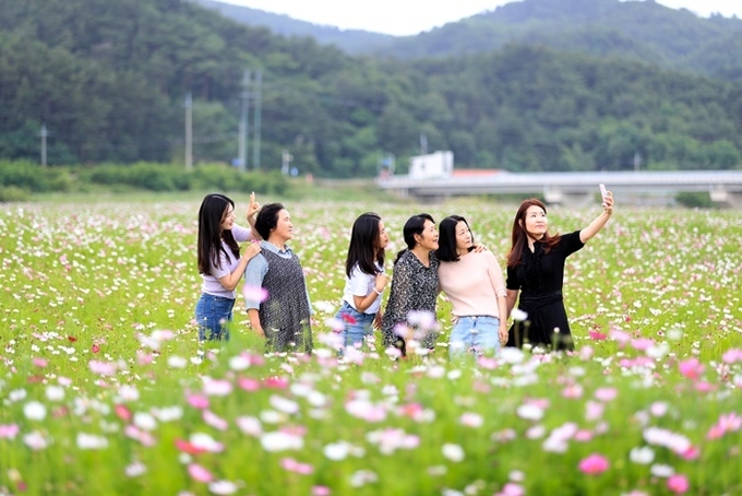 사진=울진군 평해읍