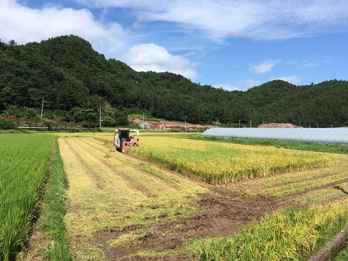 사진=울진군