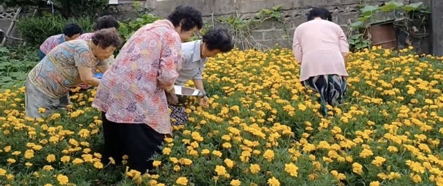 사진=울진군
