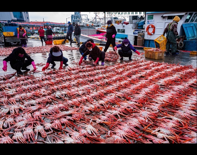 사진=울진군