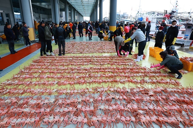 사진=울진군