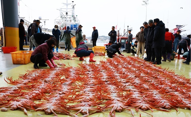 사진=울진군