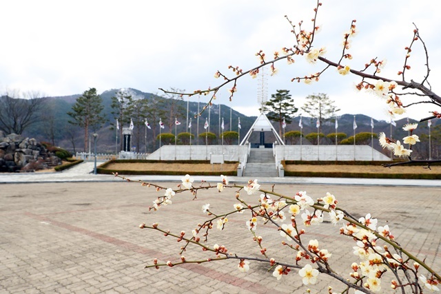 매화면 매화리 기미독립만세공원. (사진=울진군)