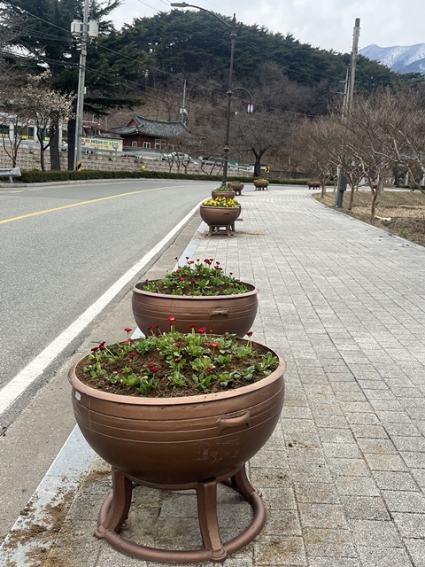 사진=울진군