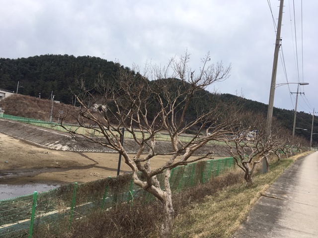 사진=울진군