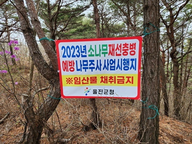 사진=울진군