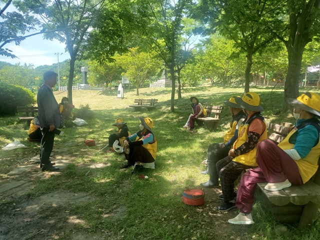 사진=울진군 온정면