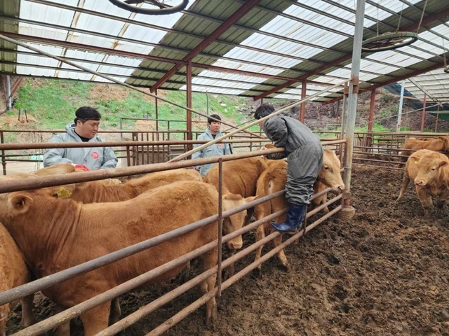 사진=울진군