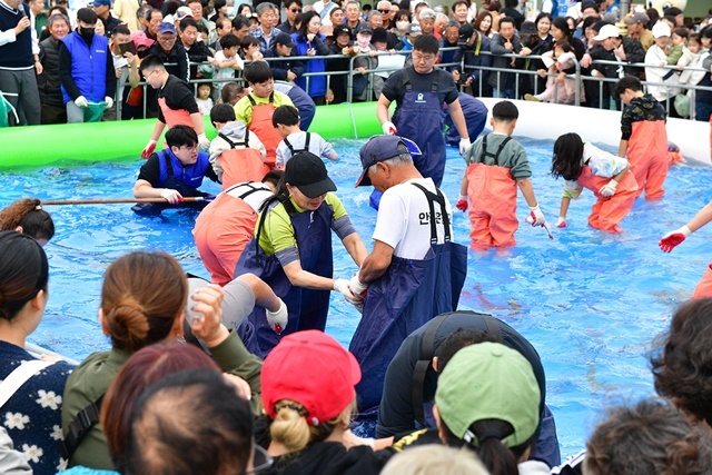 2024 죽변항 수산물축제 맨손 활어잡기.